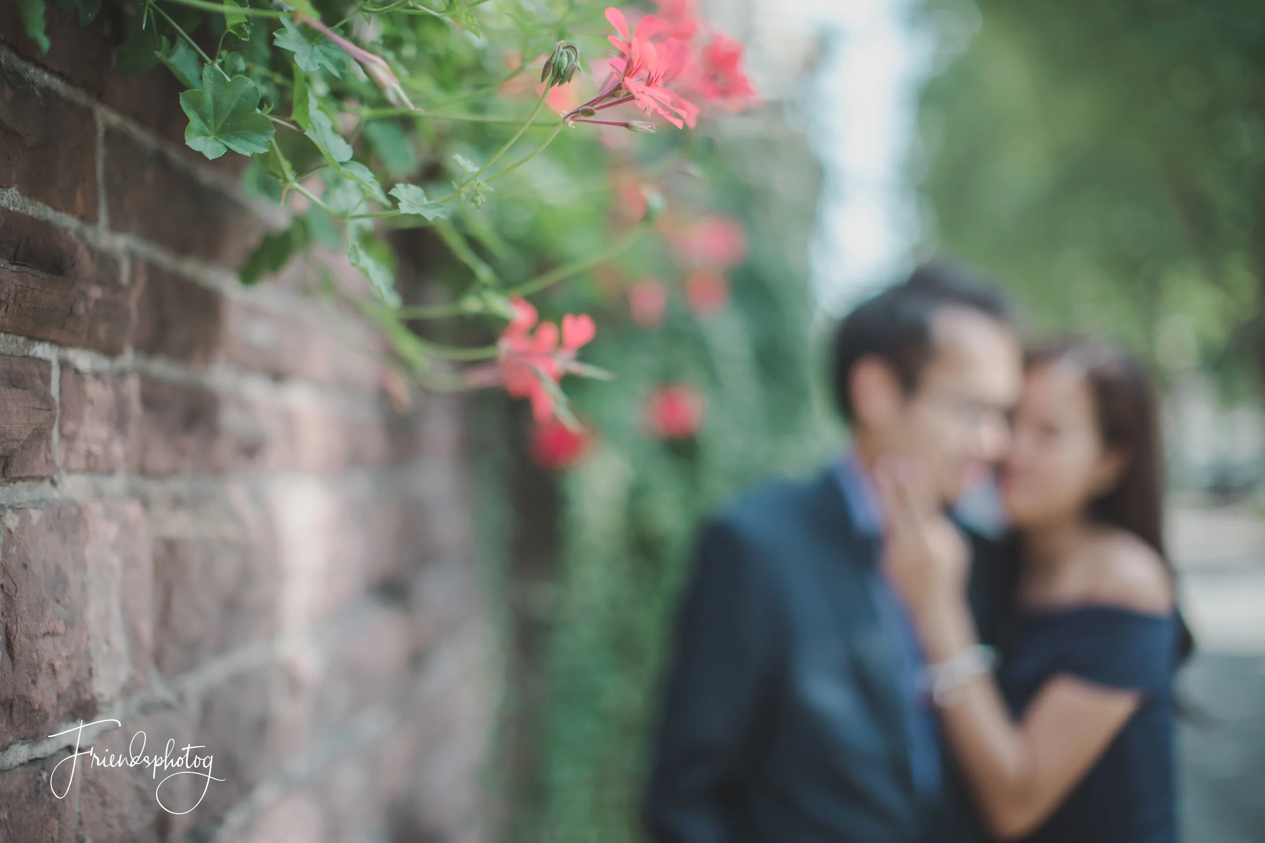 5D4_4508-Edit.jpg