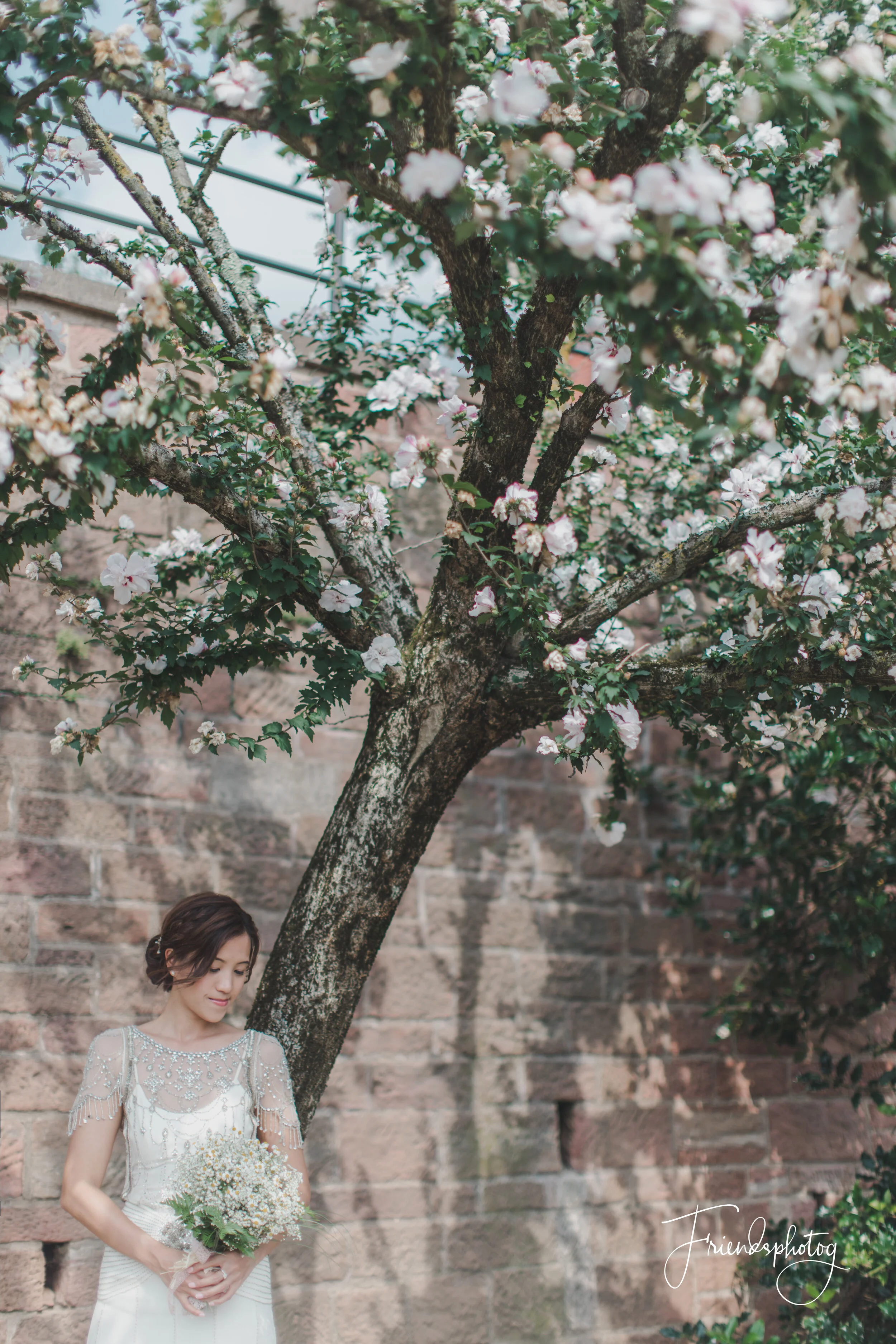 5D4_6082-Edit.jpg