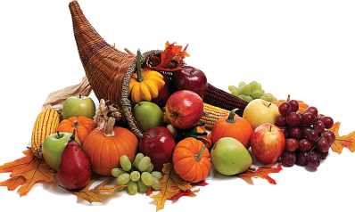 Chino Hills Police Station Thanksgiving Food Drive