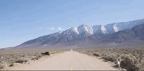 Oct-09-2017 14-22-55.gif