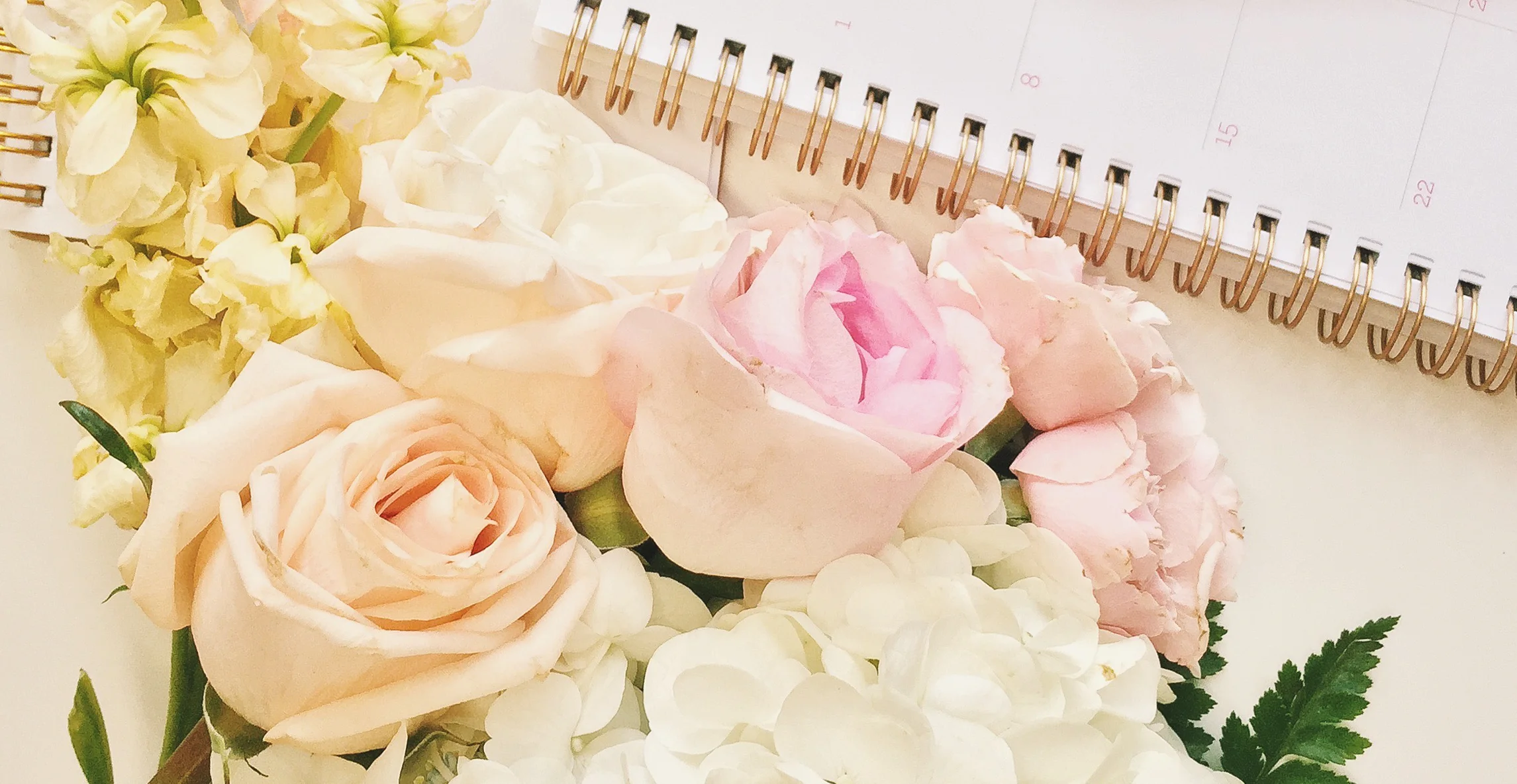 12 Valentine's Day Adventures in Orlando