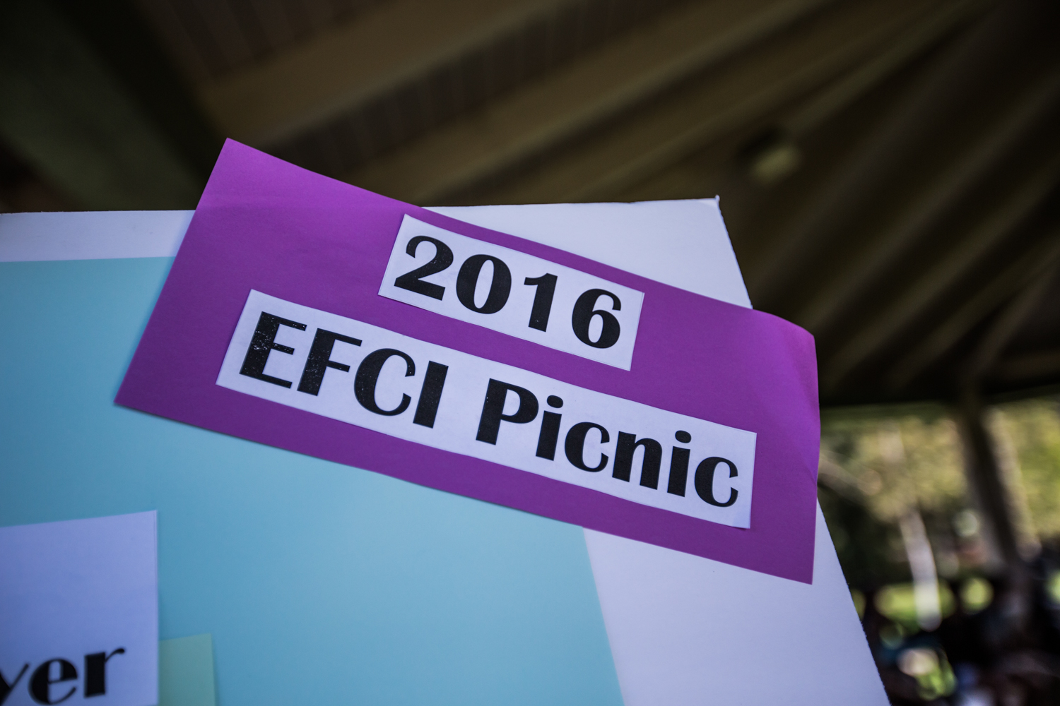 EFCI Picnic Poster