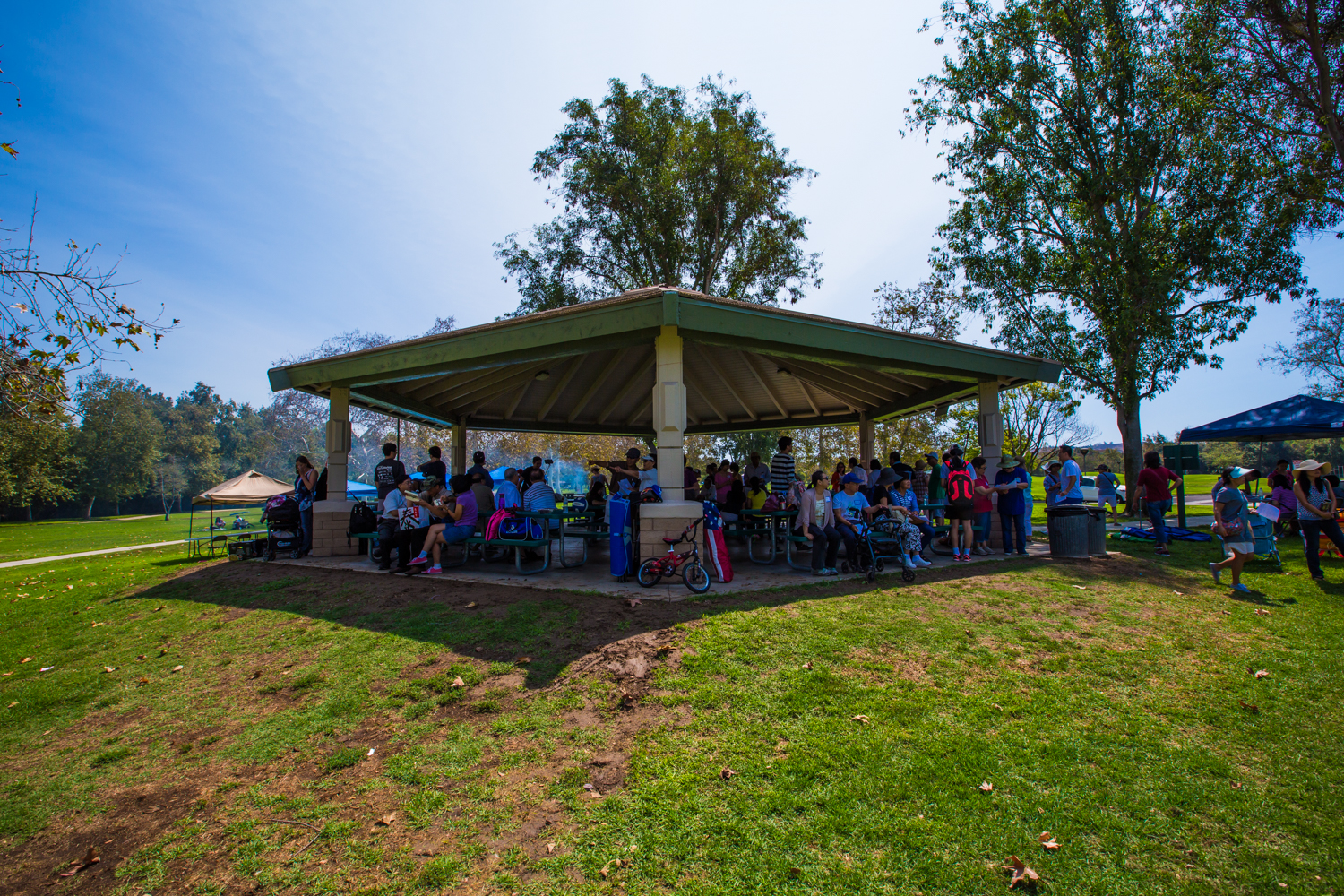 Picnic