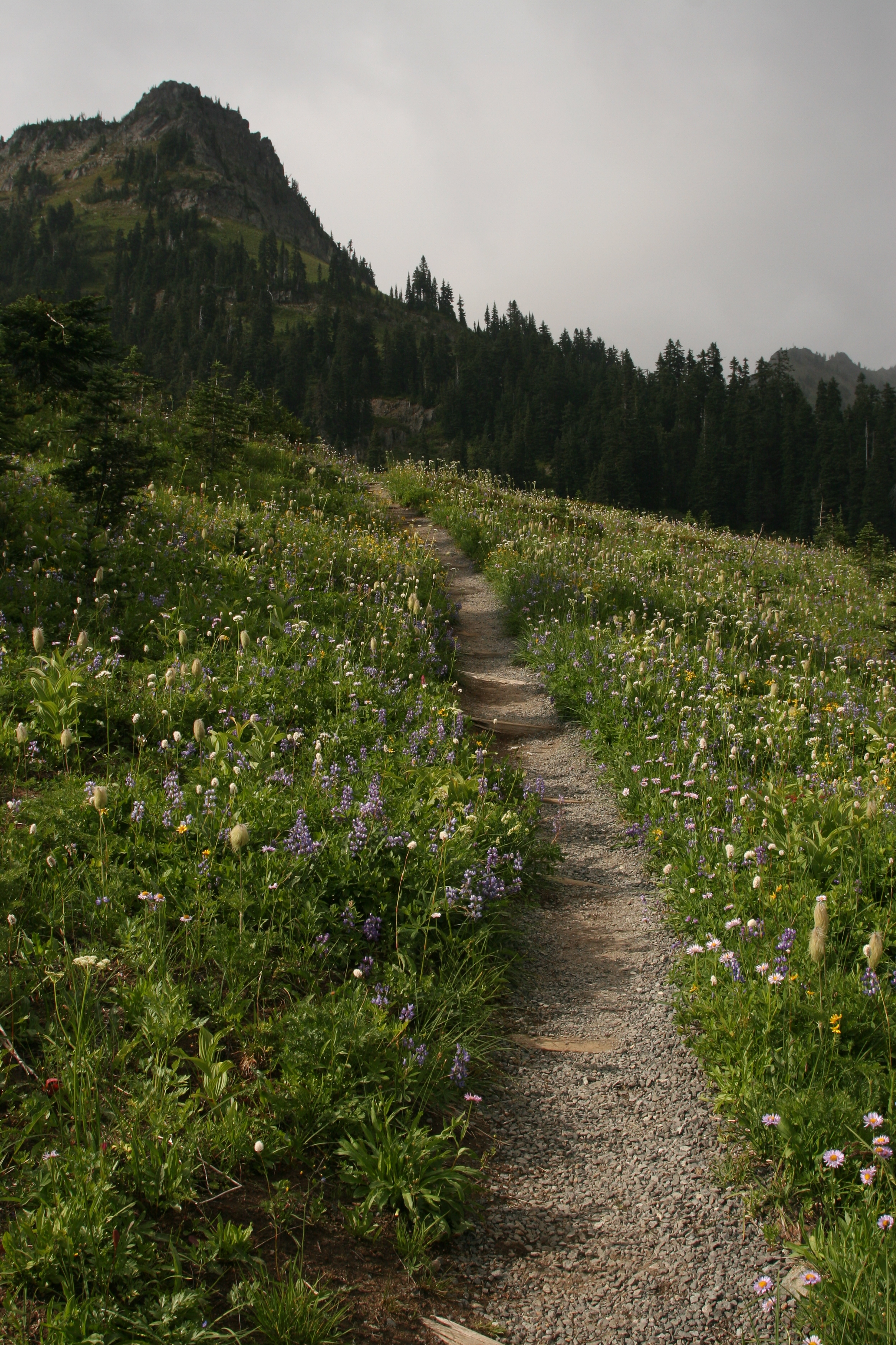 Sunday Service - Religious Freedom