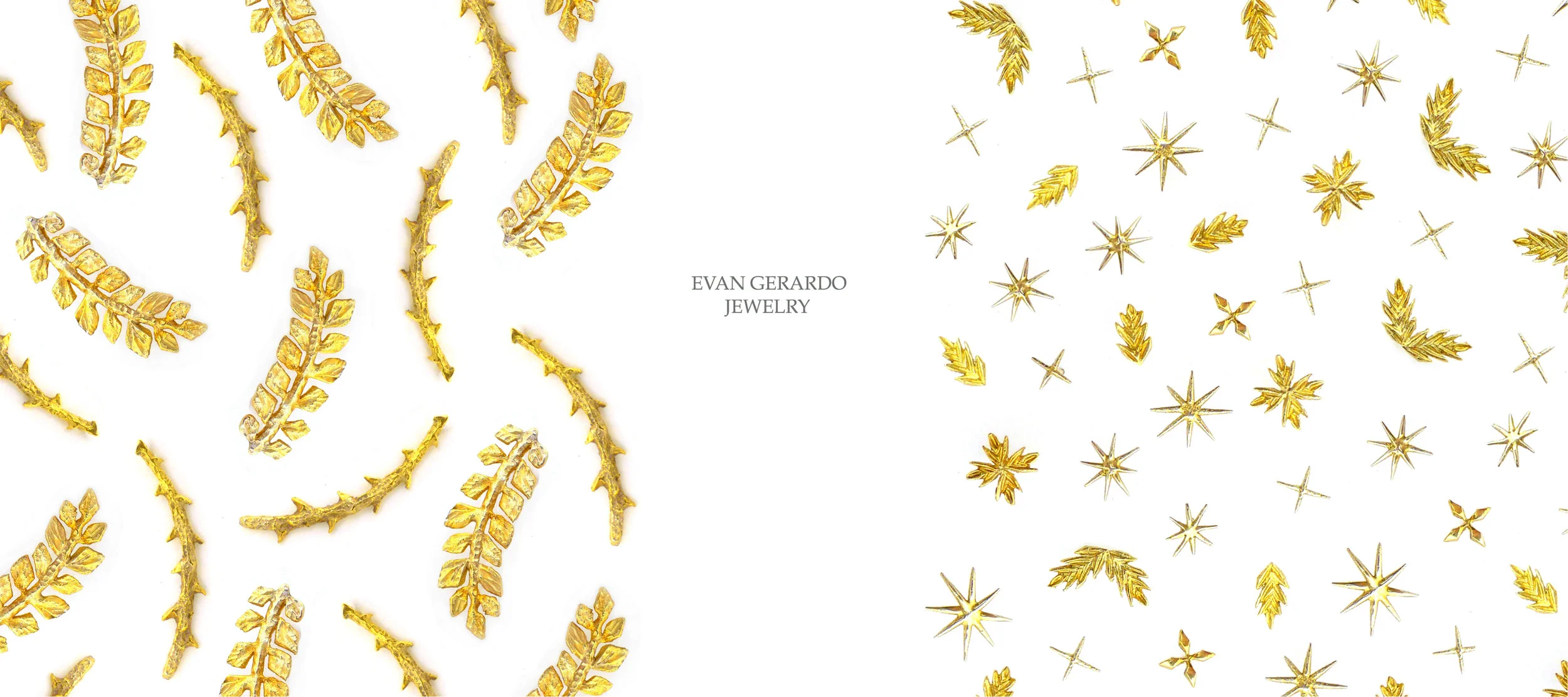 aerrrings bannerd.jpg