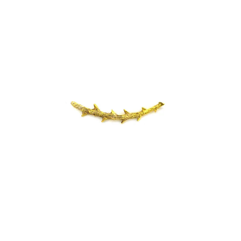 thorns2.jpg
