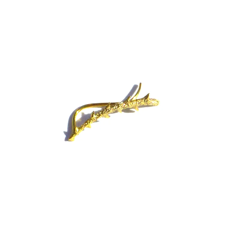thorns3.jpg