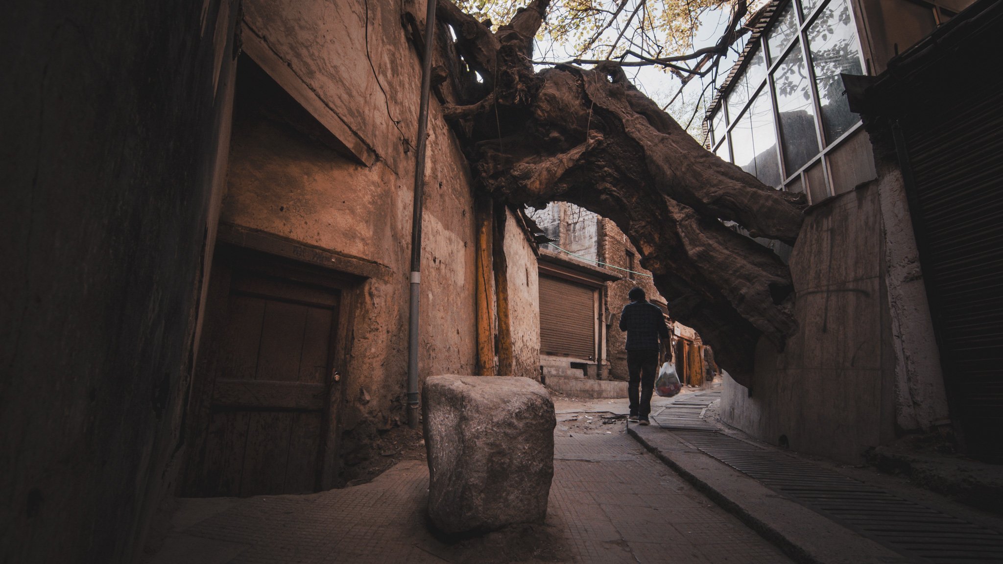 Ladakh-29.jpg
