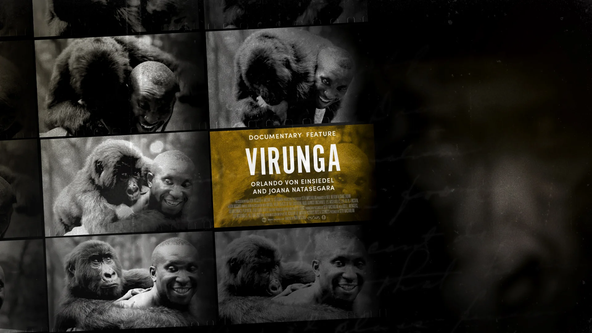 DOC_FEAT_VIRUNGA-1.jpg