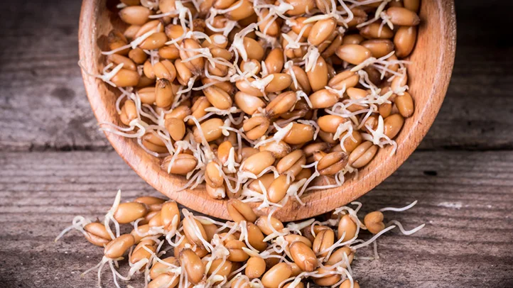 Sprouted Grains, Que es?