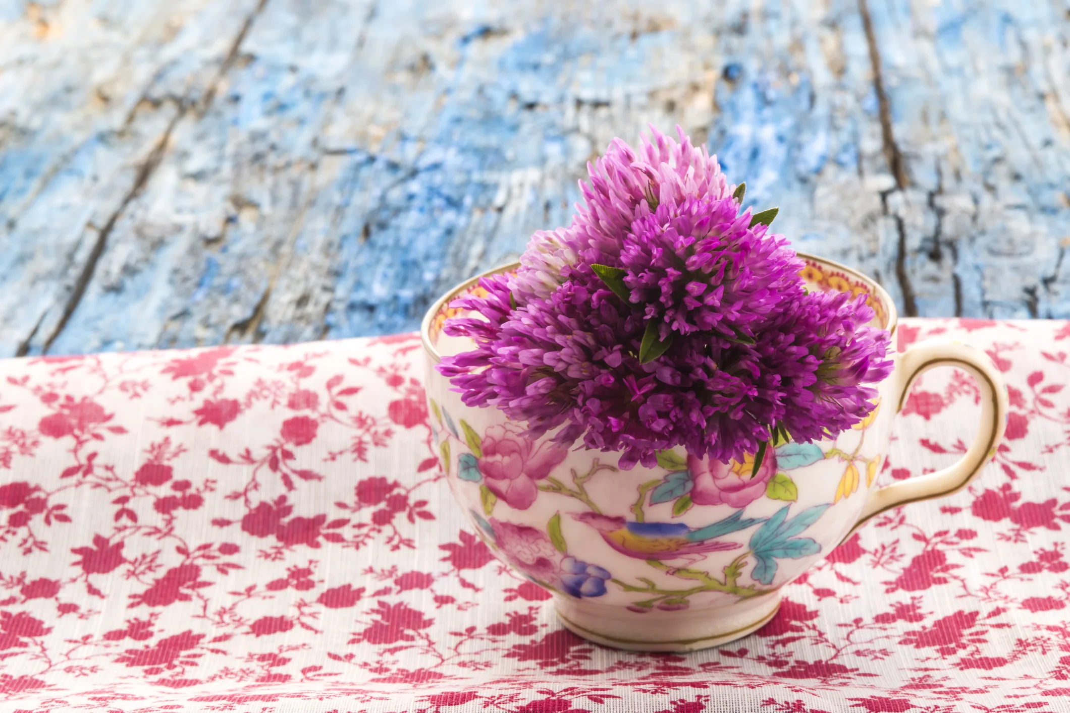 Photo by Gama5/iStock / Getty Images