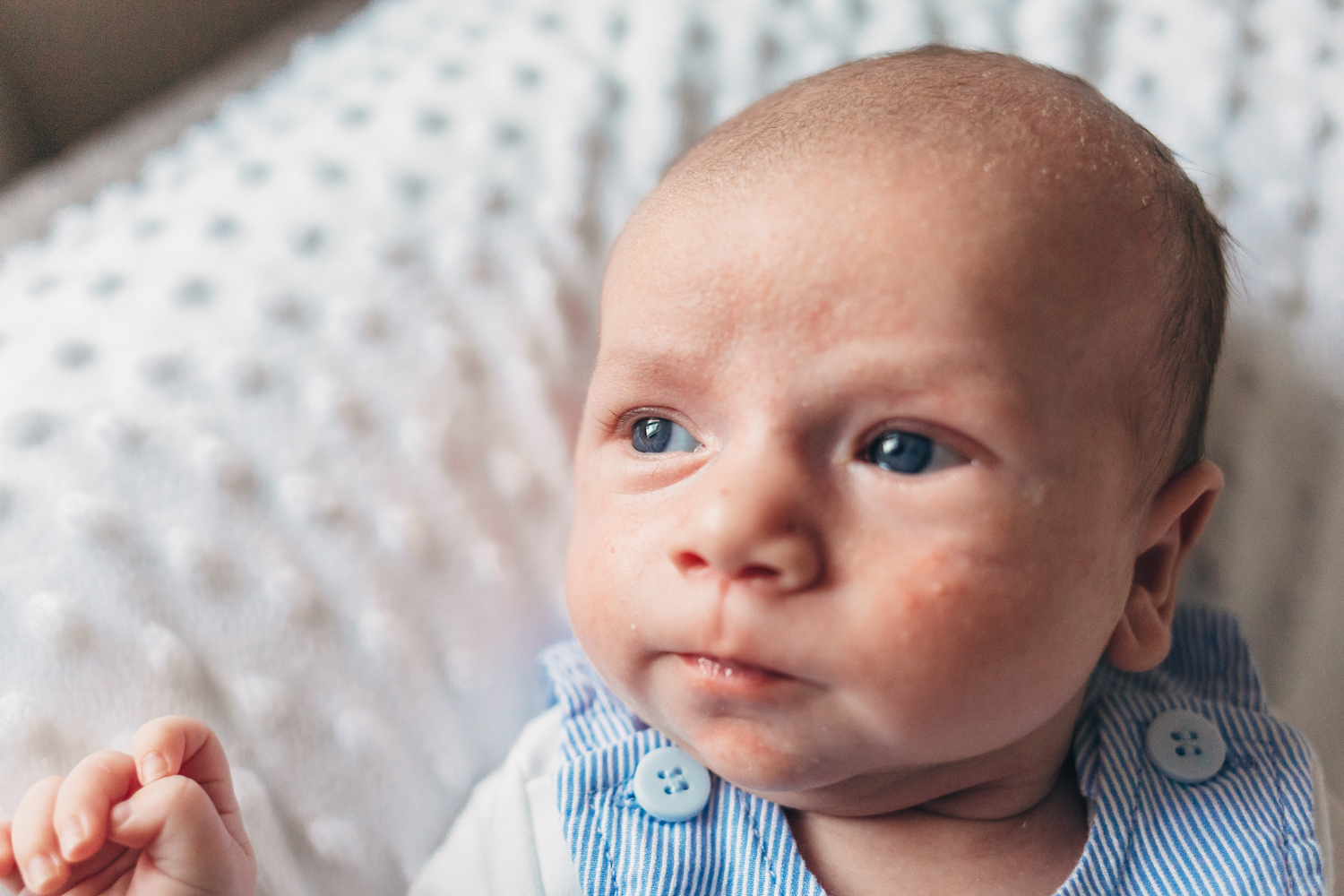 Cirencester Family Photography | Newborn Photography-1.JPG