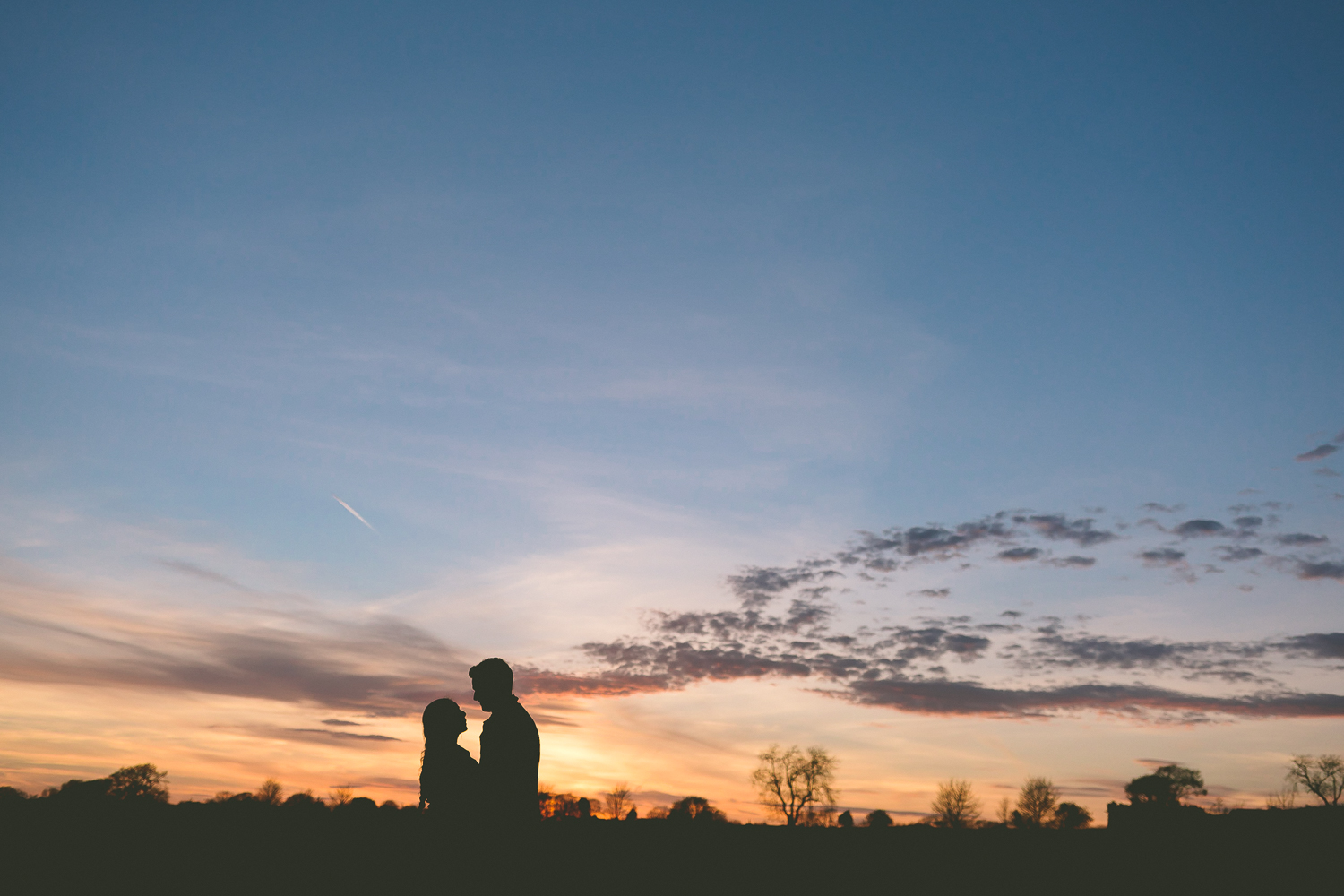 Winkworth Farm Engagement Photography-20.JPG