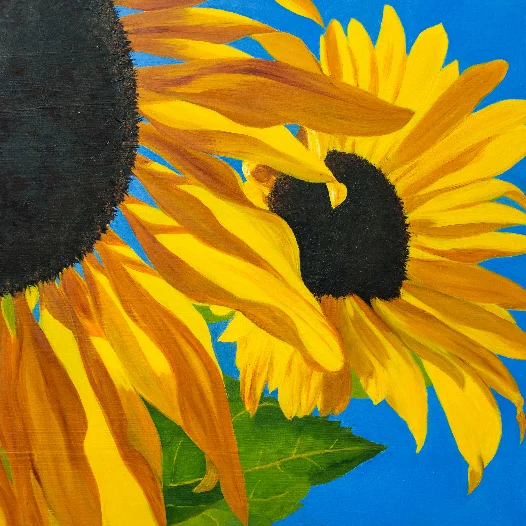 sunflower.jpg