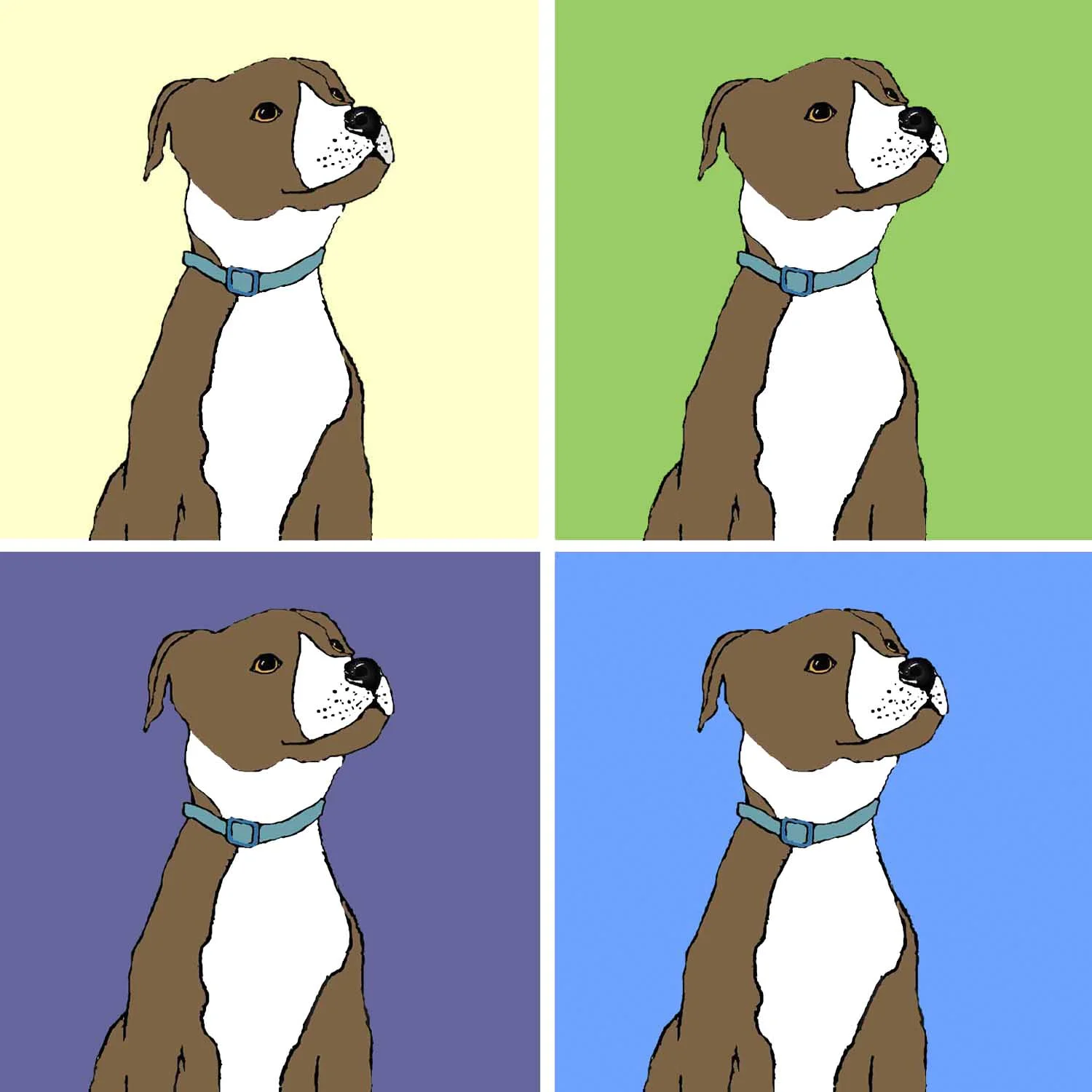 404 x buster.jpg