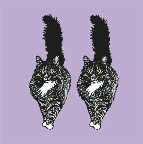 double trouble.jpg