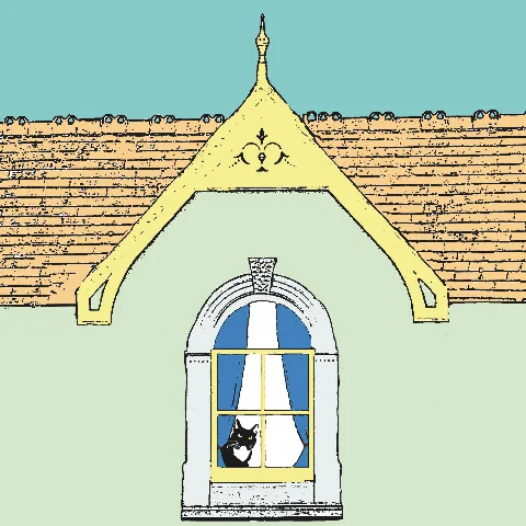 blue curtains.jpg