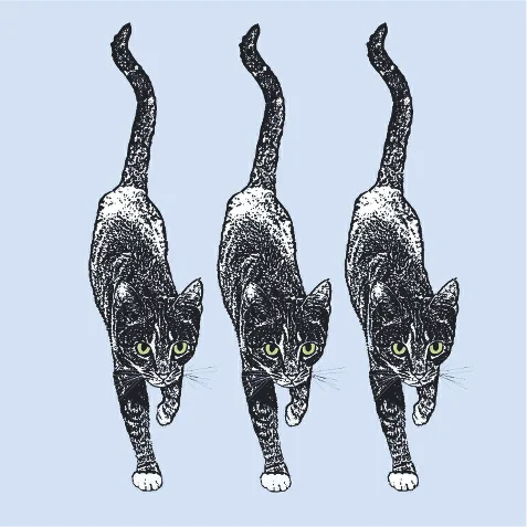 Night Prowlers.jpg