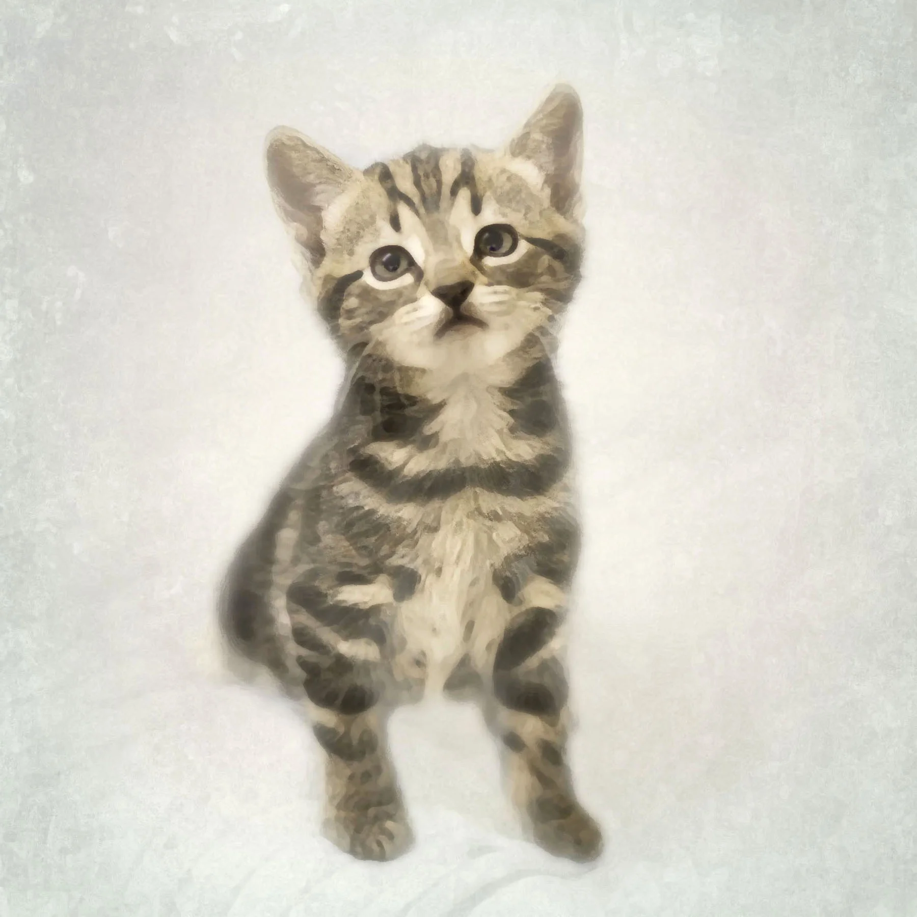 Kitten cards Tabitha.jpg