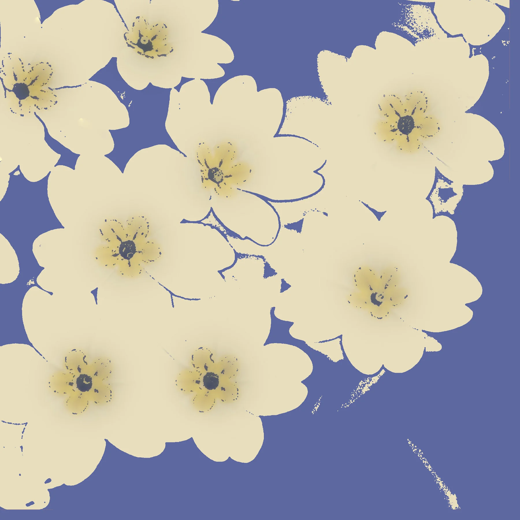 Primrose yellow.jpg