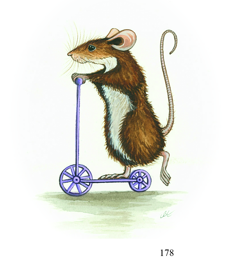 178 scooter Jenny Allen.jpg