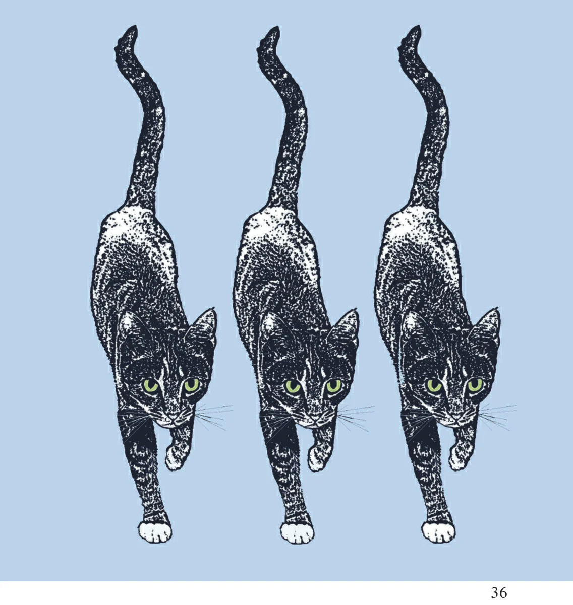 36 night prowlers Alison Parsons Smith arty cards 6x6.jpg
