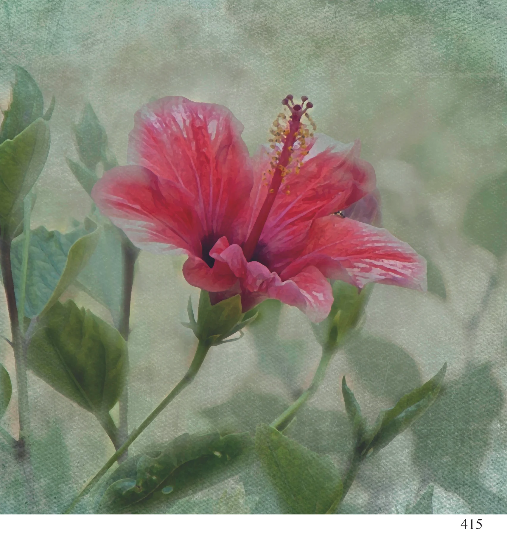 415 hibiscus alison parsons smith Feb 2019.jpg