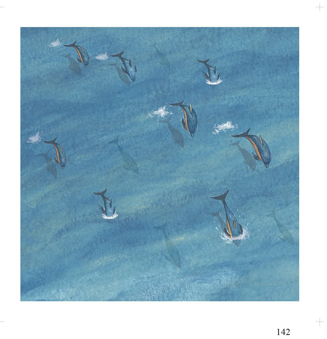 142 dolphins Jack Goddard Cards 6x6.jpg