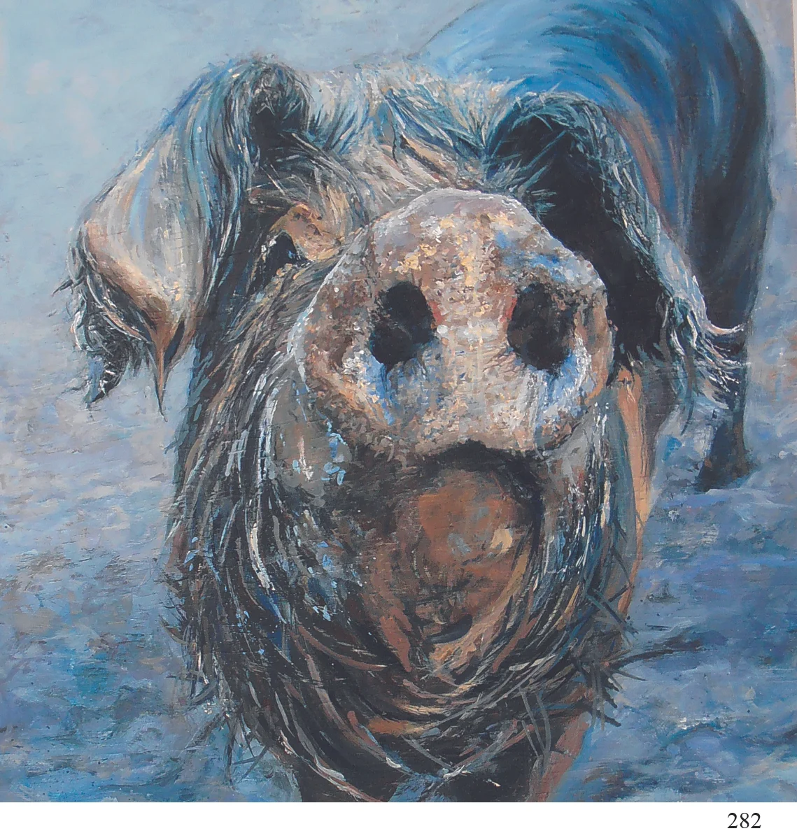 282 muddy pig Sarah Talbot Art Cards.jpg