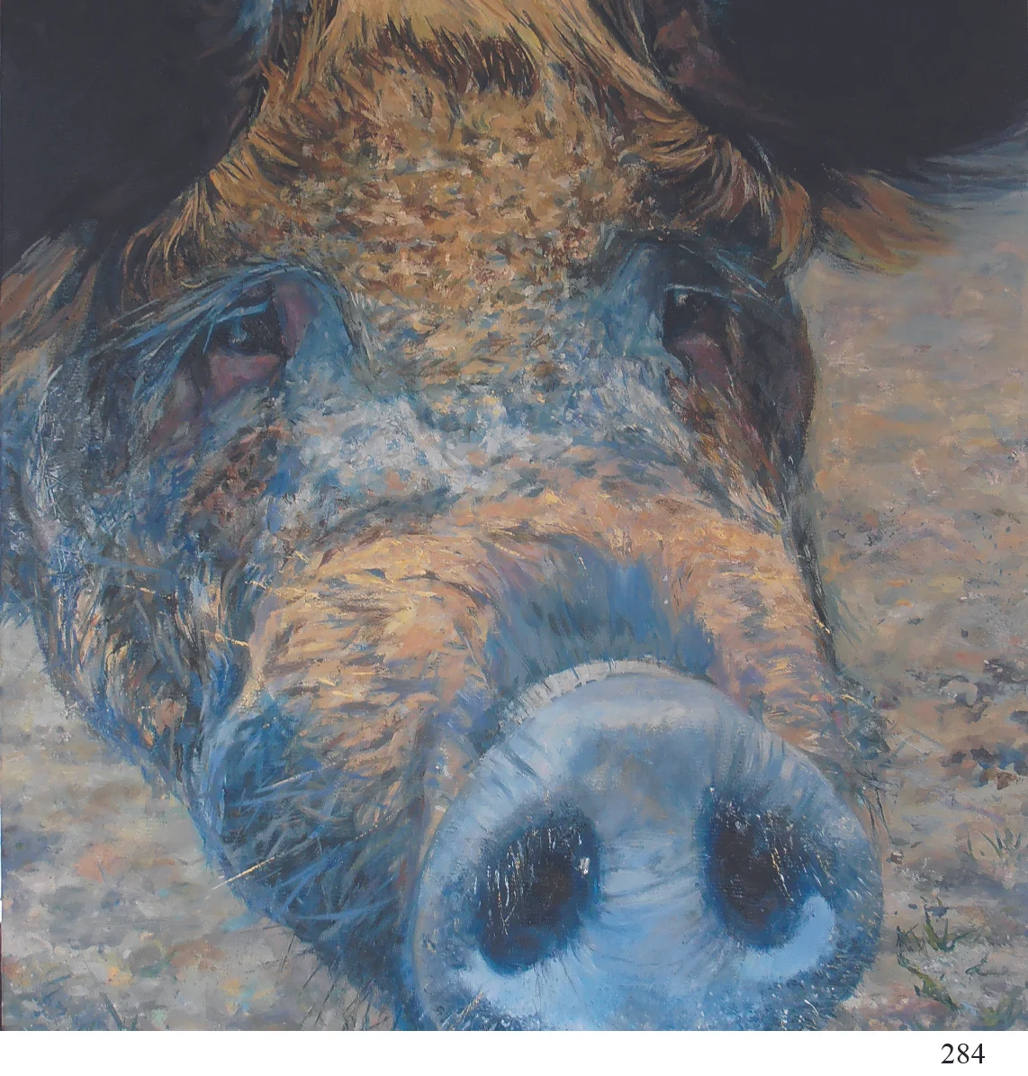 284 old pig Sarah Talbot Art Cards.jpg