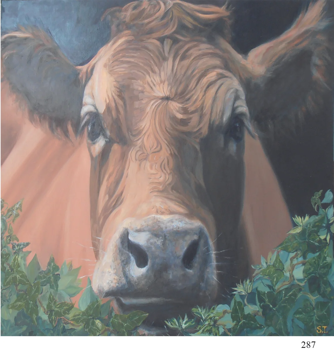 287 brown cow Sarah Talbot Art Cards.jpg