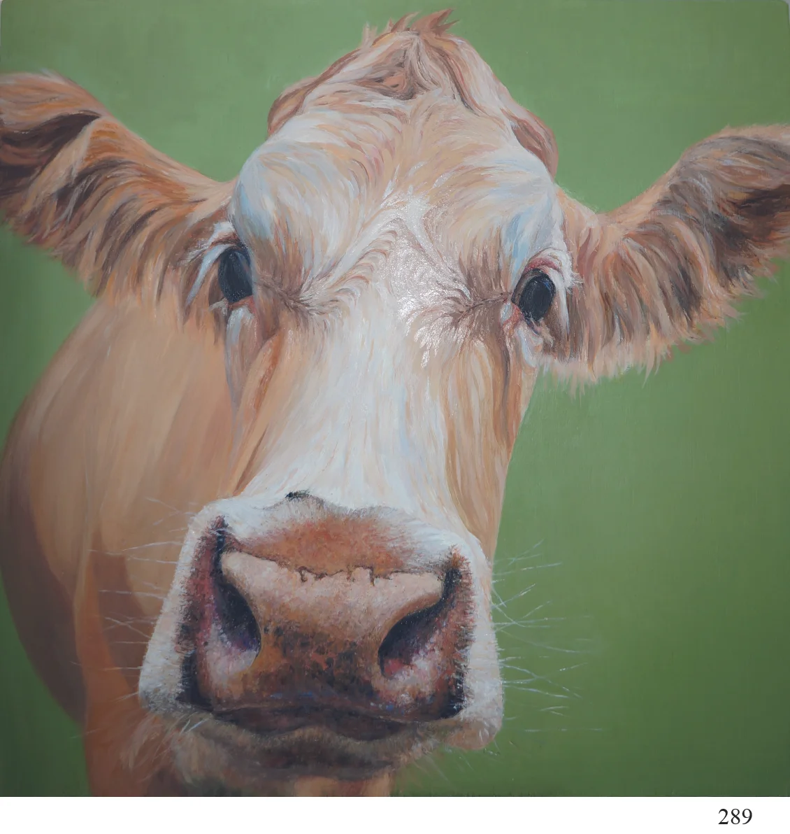 289 serene cow Sarah Talbot Art Cards.jpg