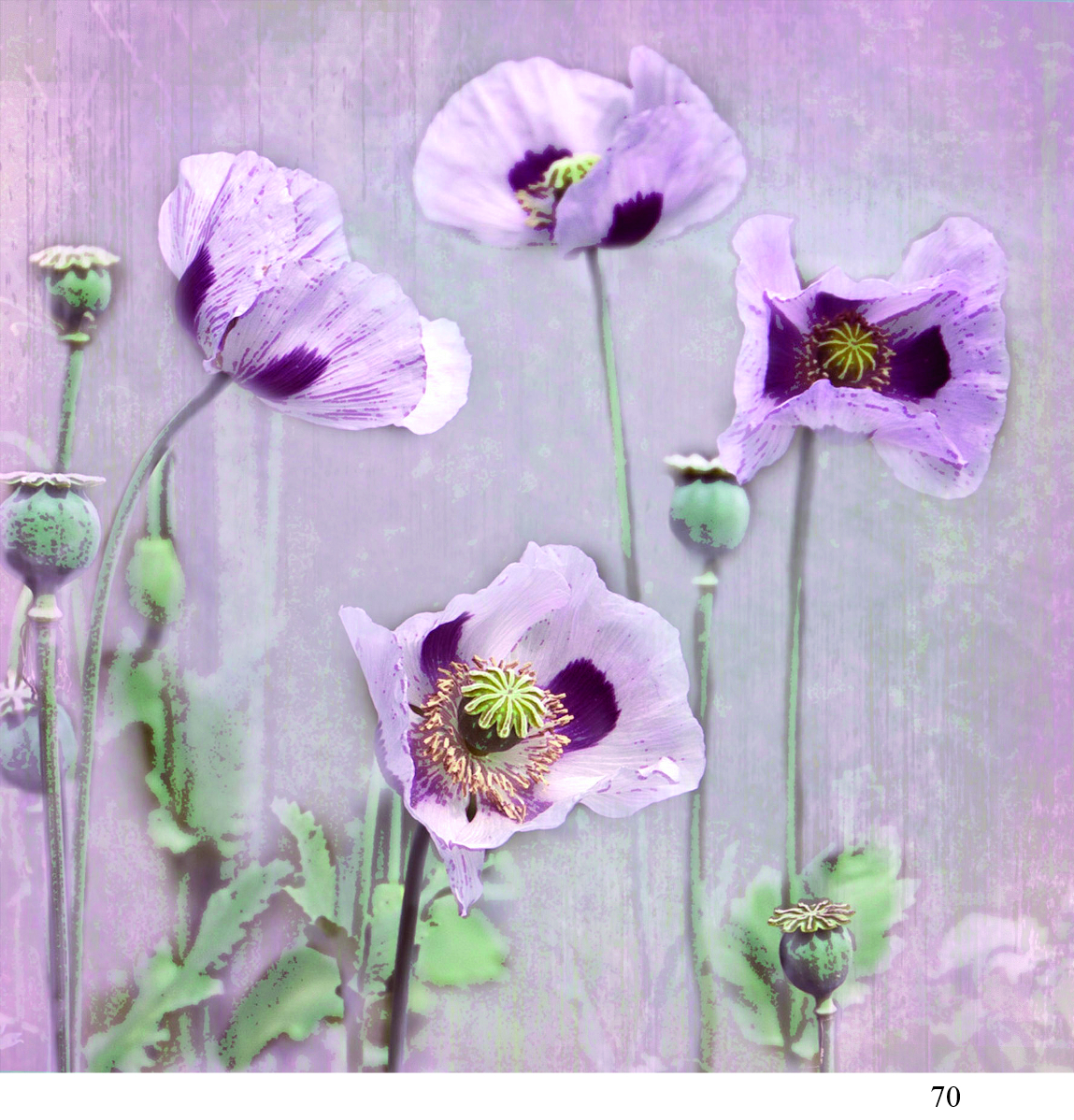 70 poppies Alison Parsons Smith arty cards 6x6.jpg