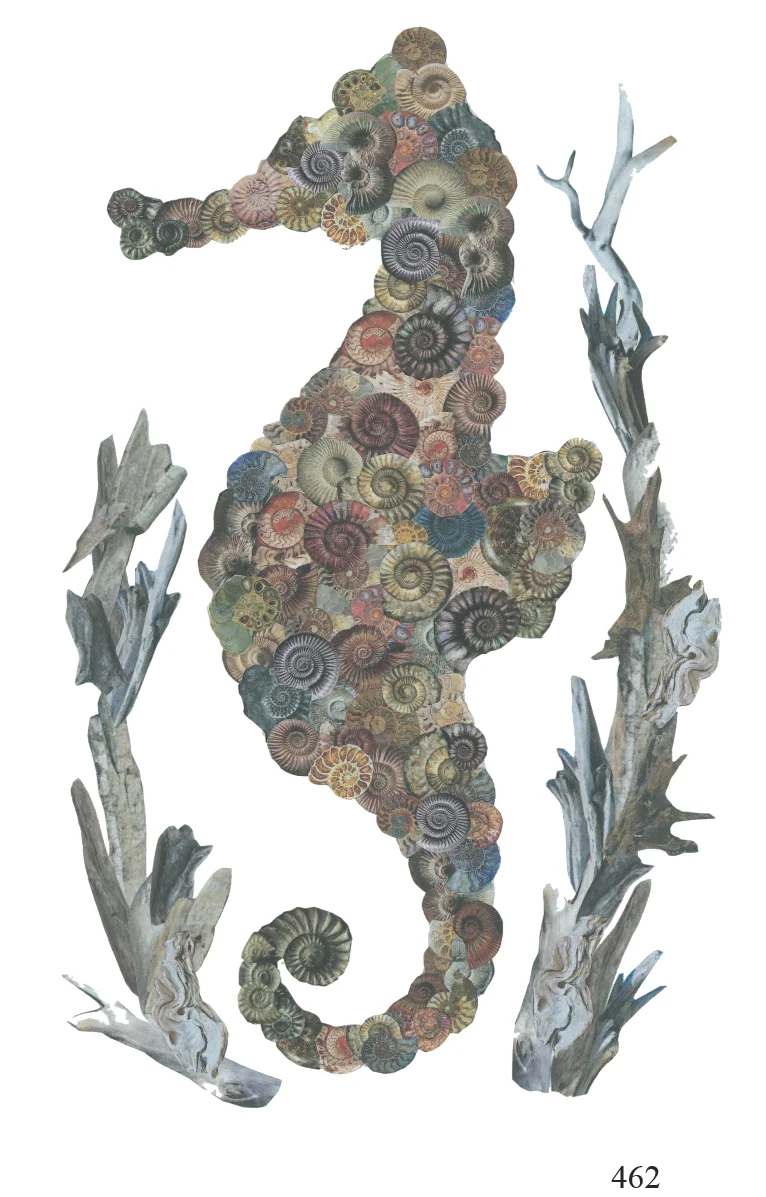 462 seahorse sarah hodder arty cards.jpg