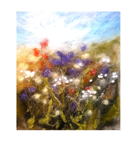 297 summer meadow.PNG