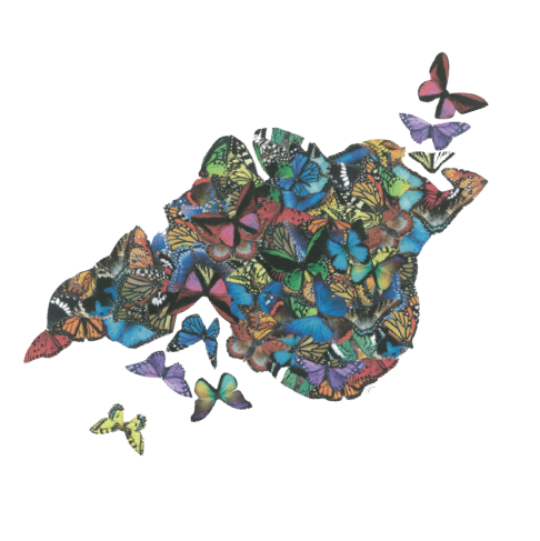 449 isle of wight.PNG