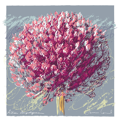 160 elephant garlic.PNG