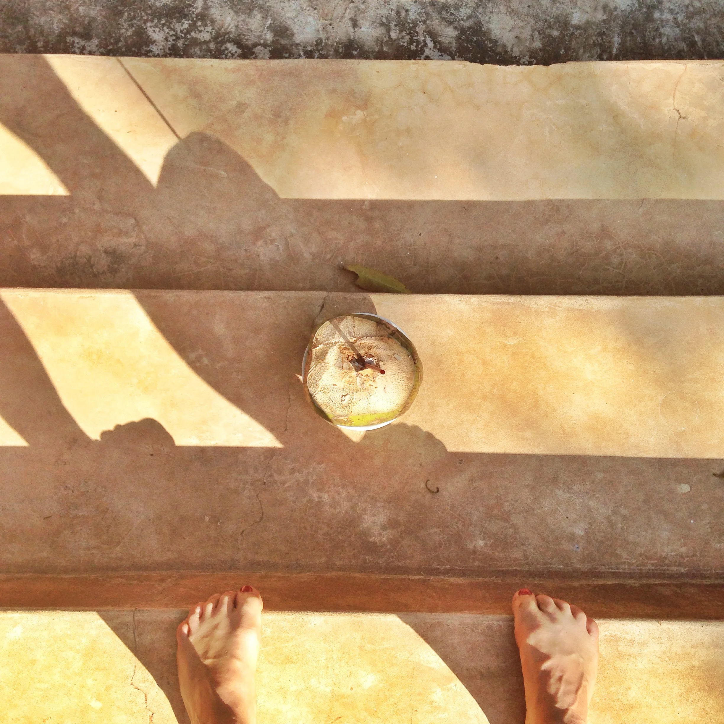 Daily unlimited coconuts!