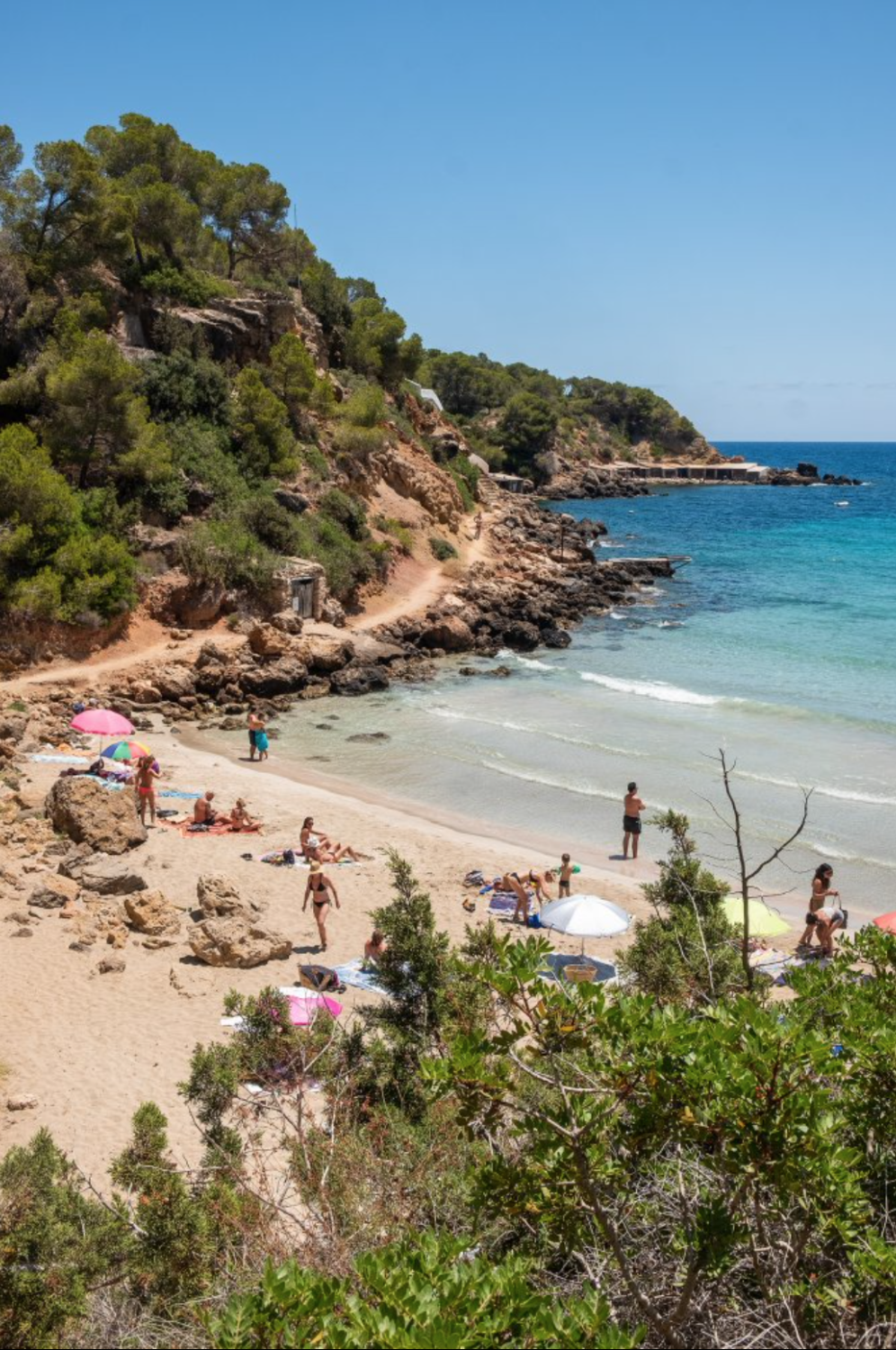 Screenshot 2026-02-04 at 13.16.35.png