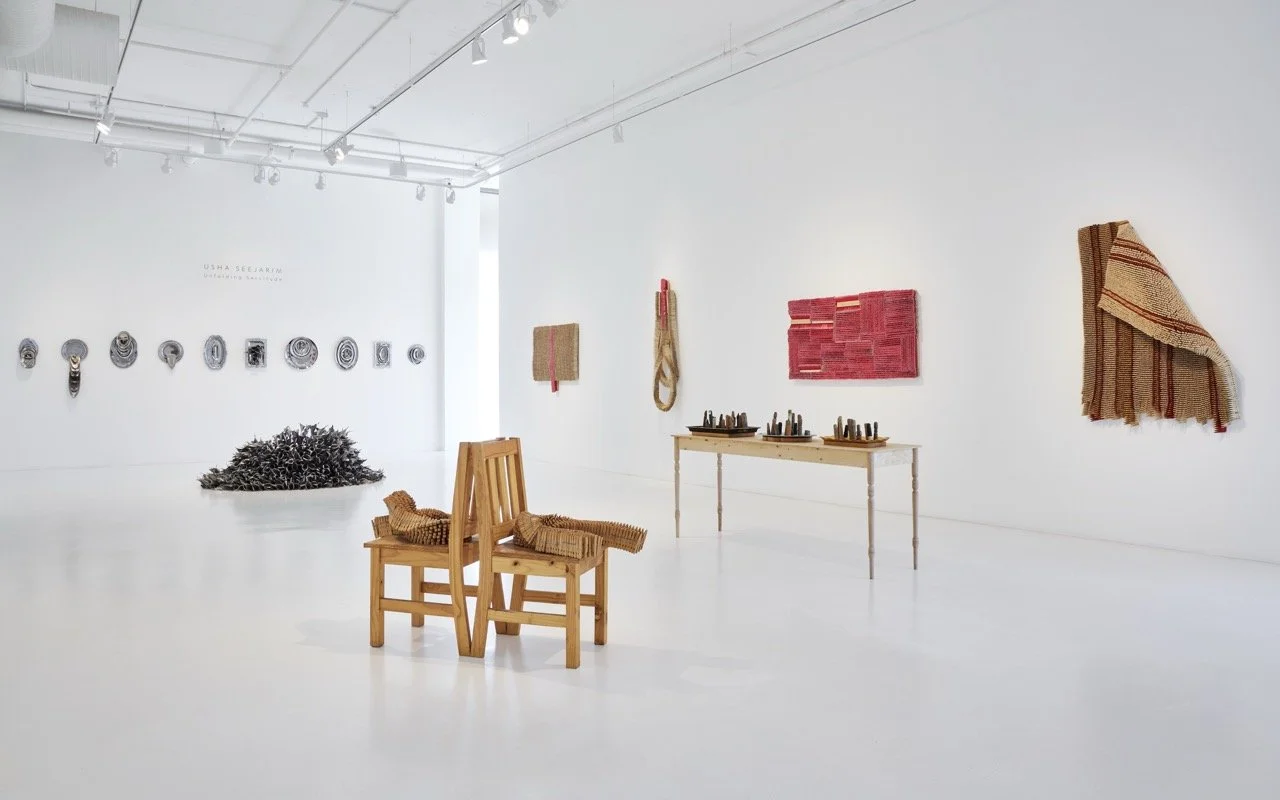 UshaSeejarim_UnfoldingServitude_2025_Cr.HaydenPhipps&SGuild.01.HR Large.jpeg