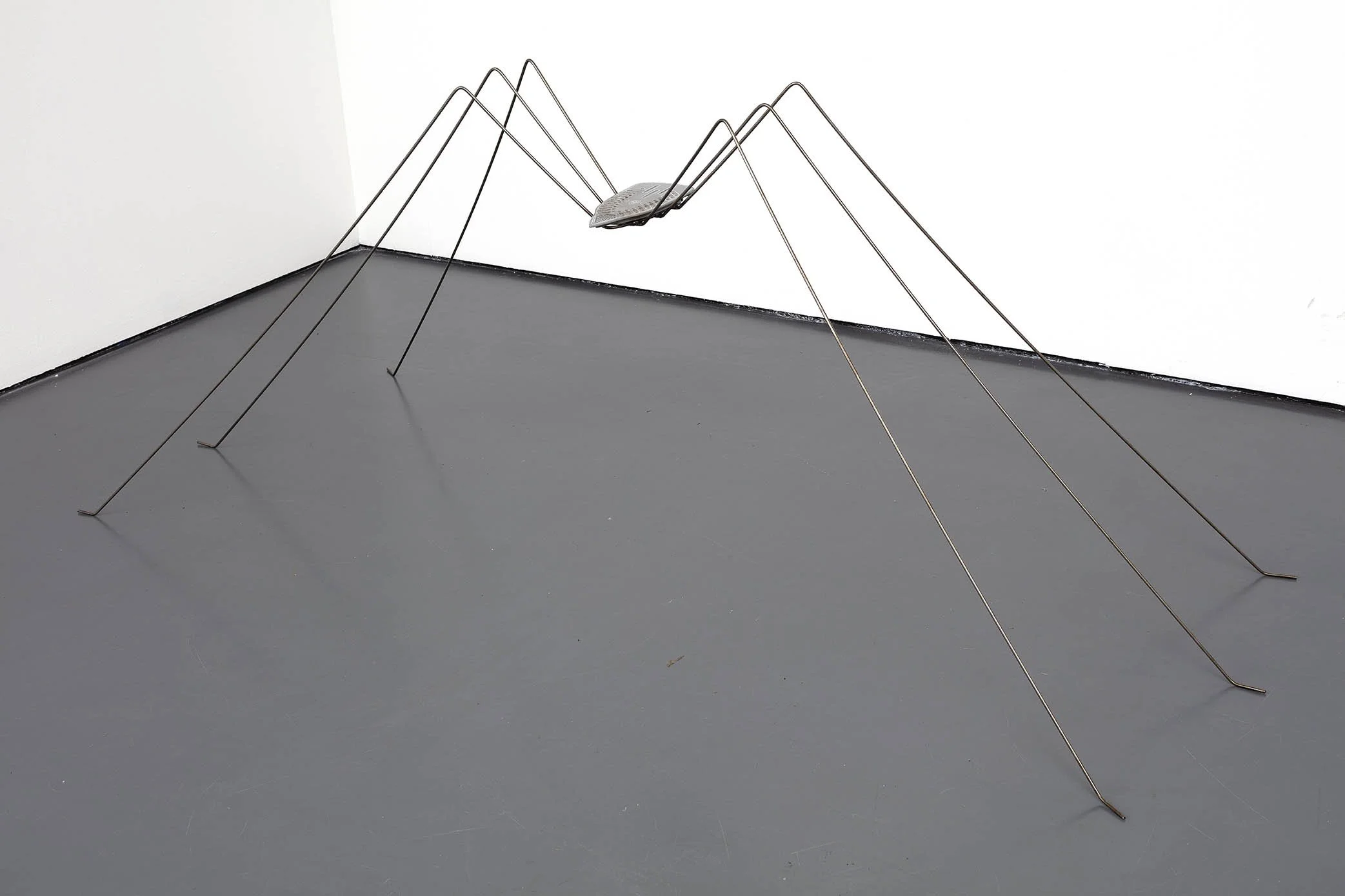 Creature of Habit 01