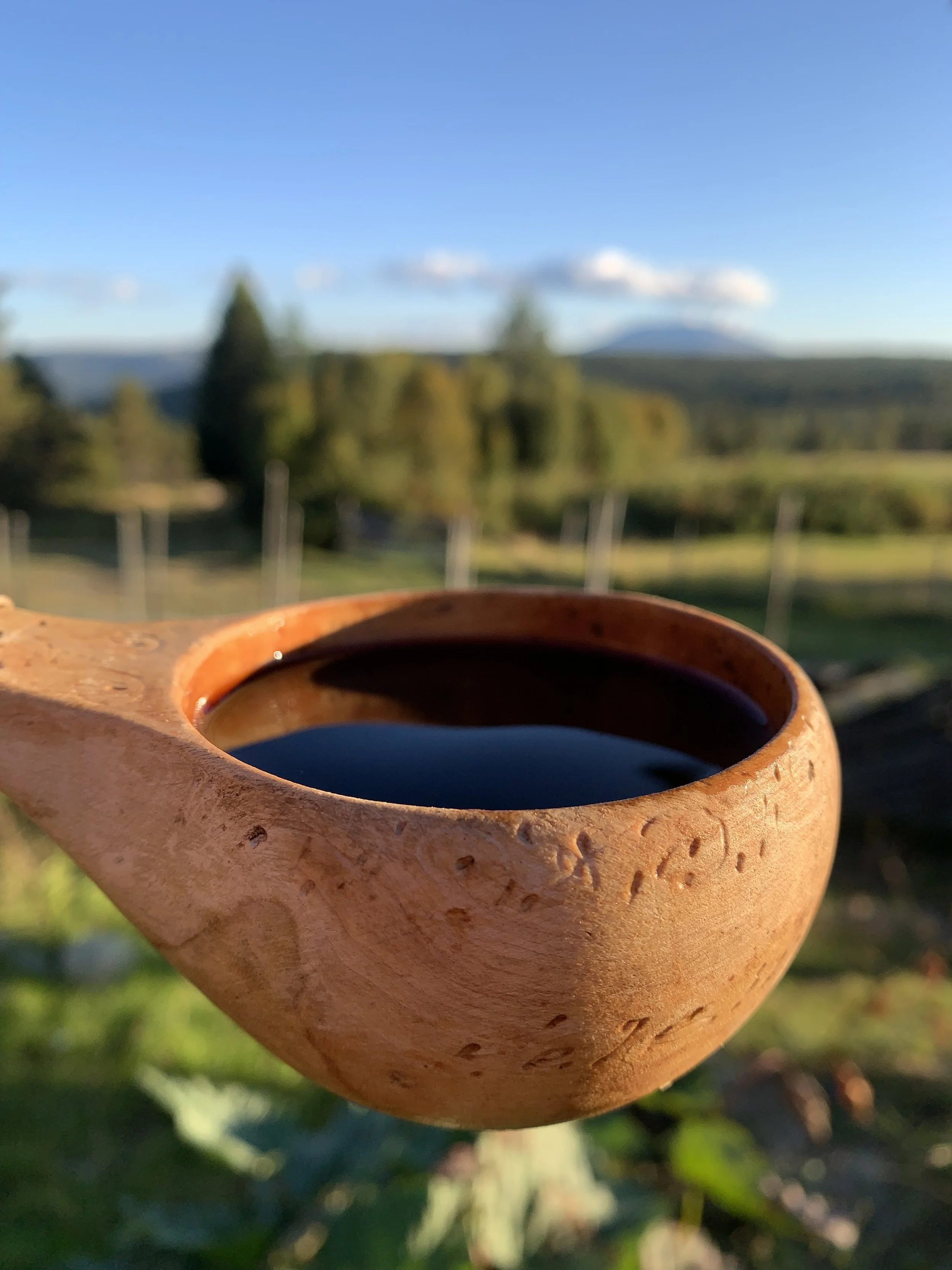 Å lage Chaga te - med noen tips
