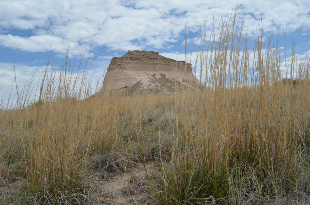 Pawnee National Grassland and Fort Collins