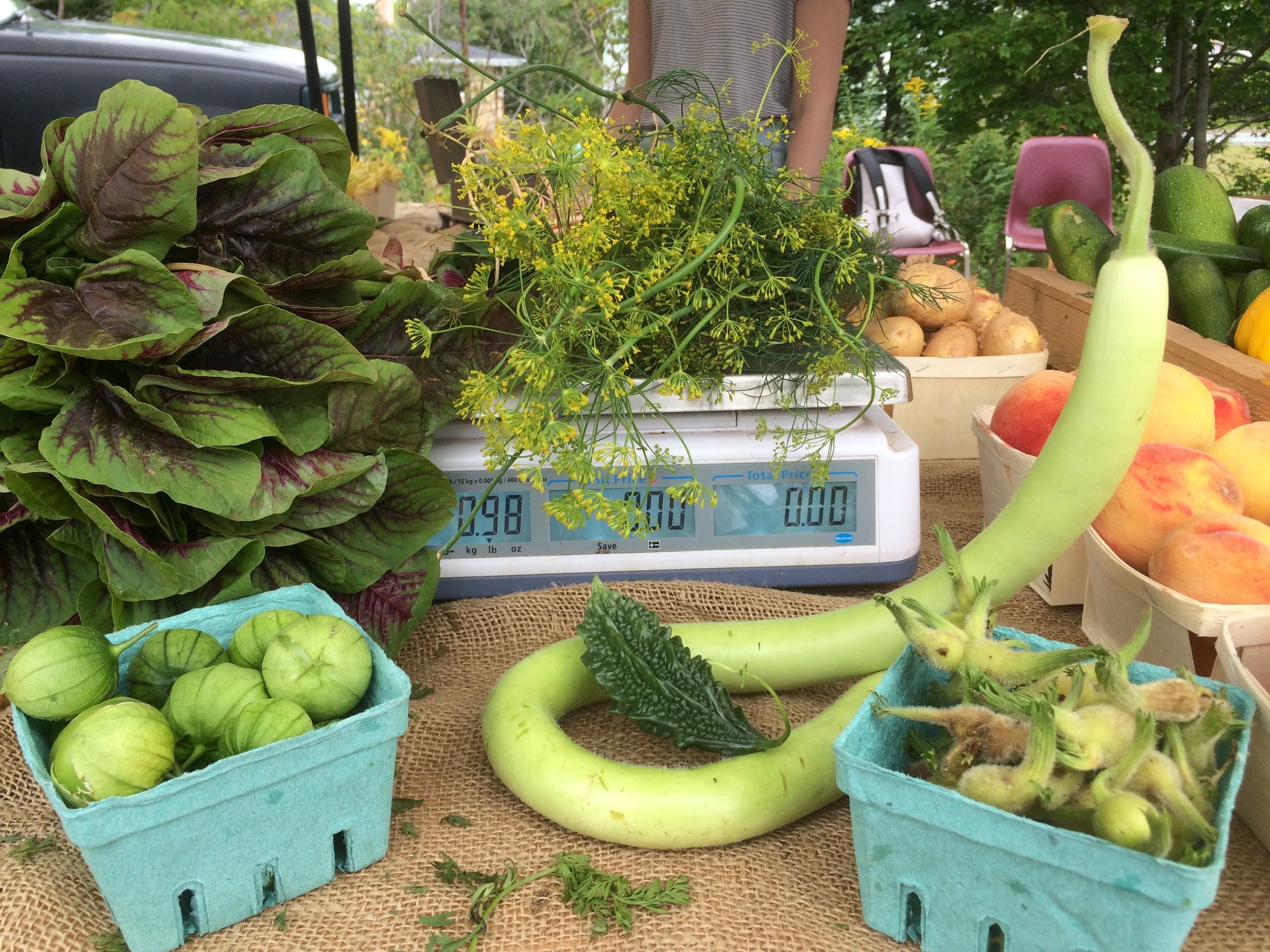 Farmers Market Odds and Herbs' display.jpeg