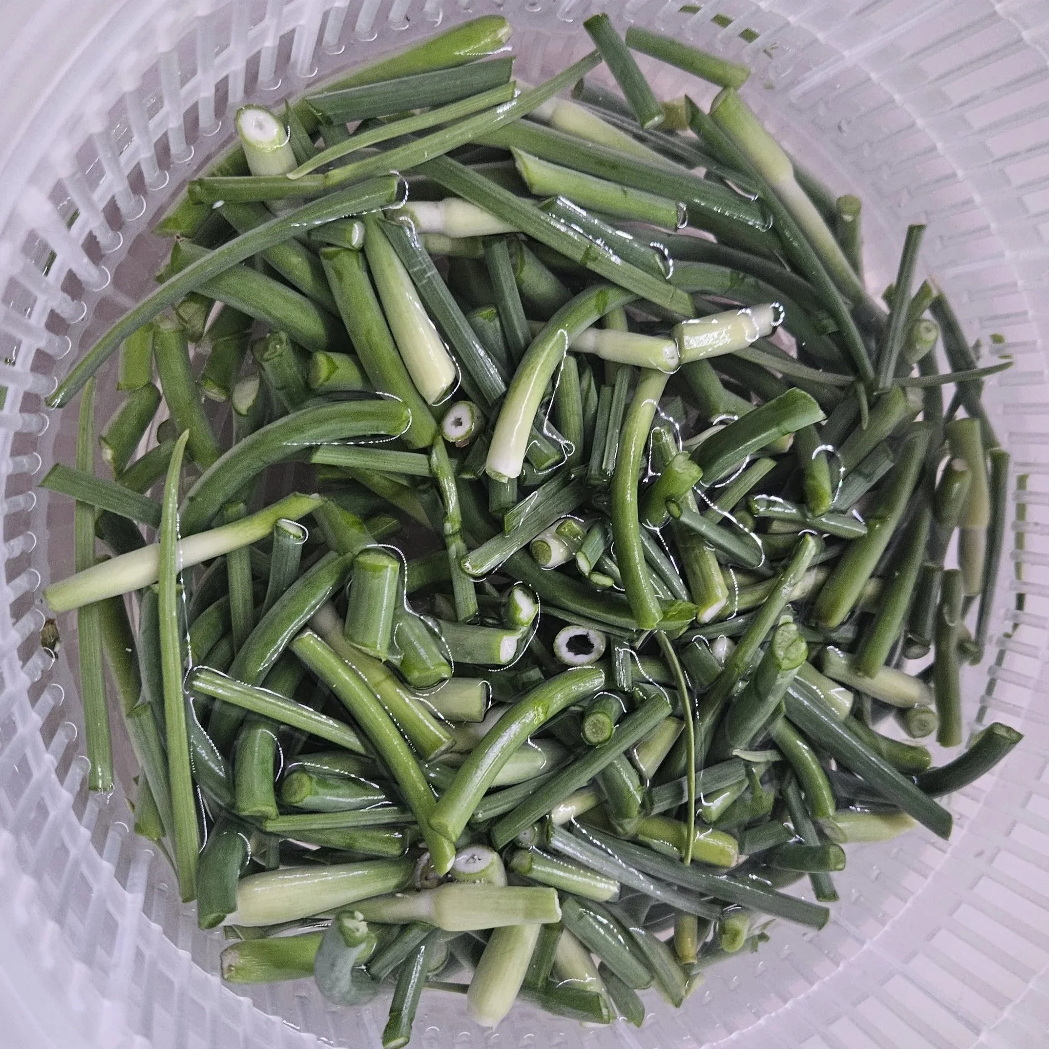 Garlic Scapes: What They Are and How We Keep Them All Year