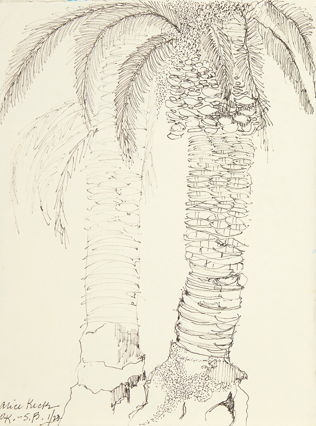 CA.Palm -  Ink on Yupo 3'wx5'h