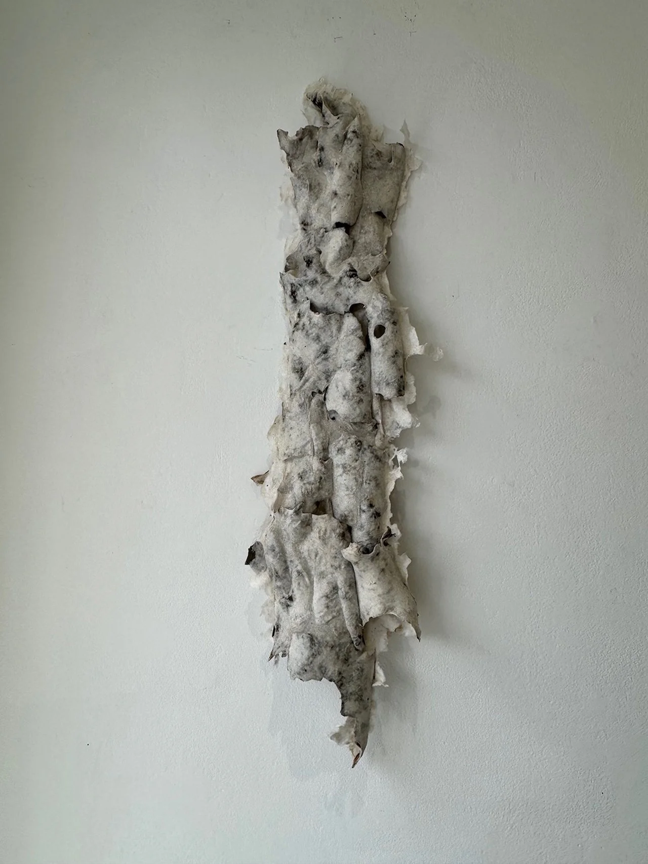 bloommeg_With-a-sigh_2023_abaca-pulp,sycamore-bark_36x19x3-copy.jpg