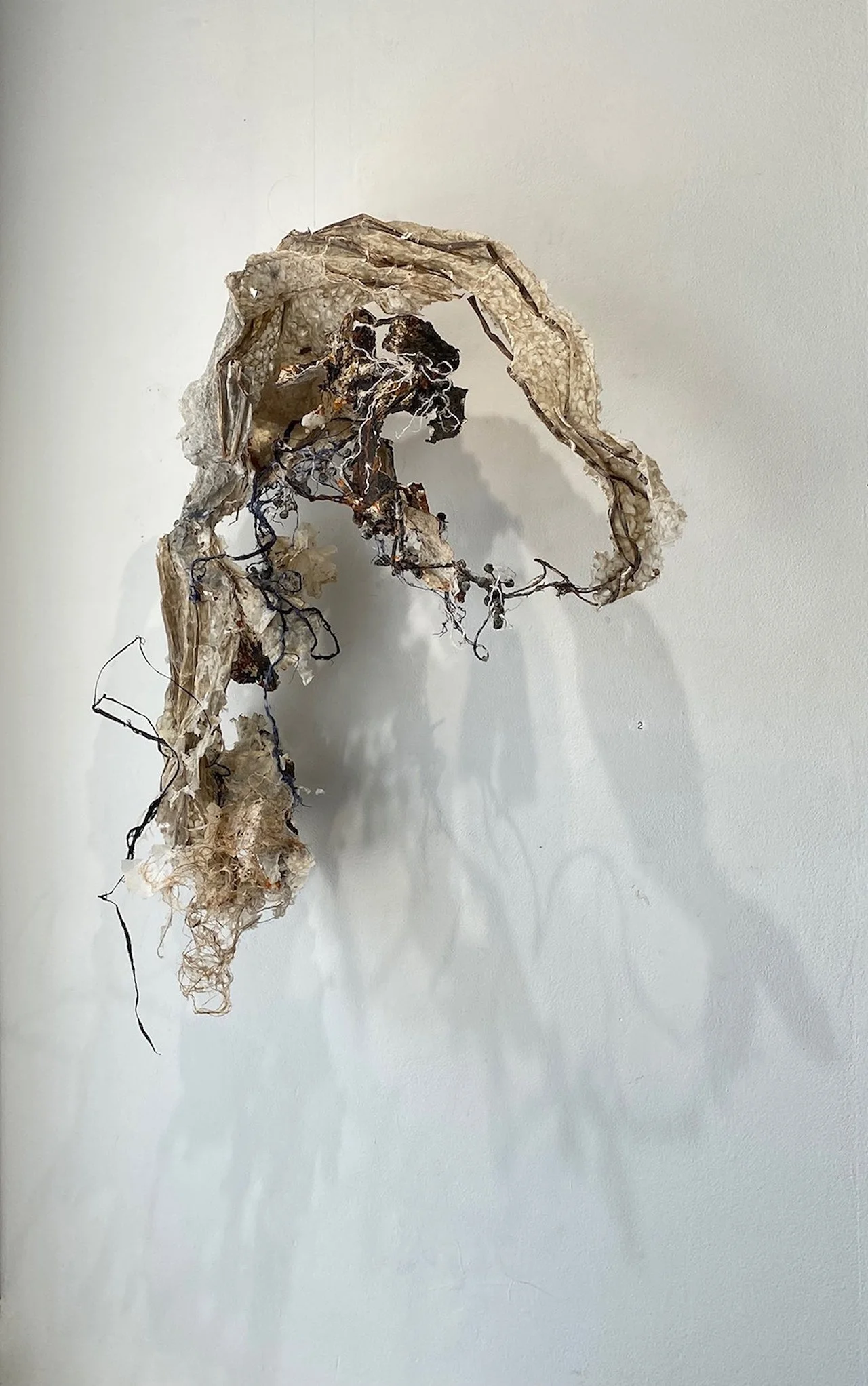 old-story-new-beginnings_handmade-paper-(abaca)-kozo-fibers,-wire,pigments,artificial-and-natural-plant-fibers_approx-50x40x8'_2023-jpg-copy.jpg