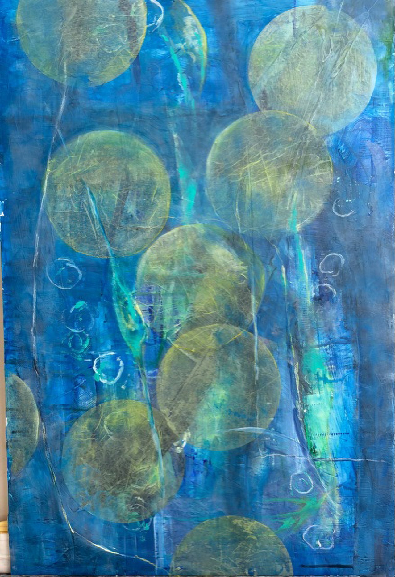 Sheila Kaczmarek, Shimmering Ctenophores