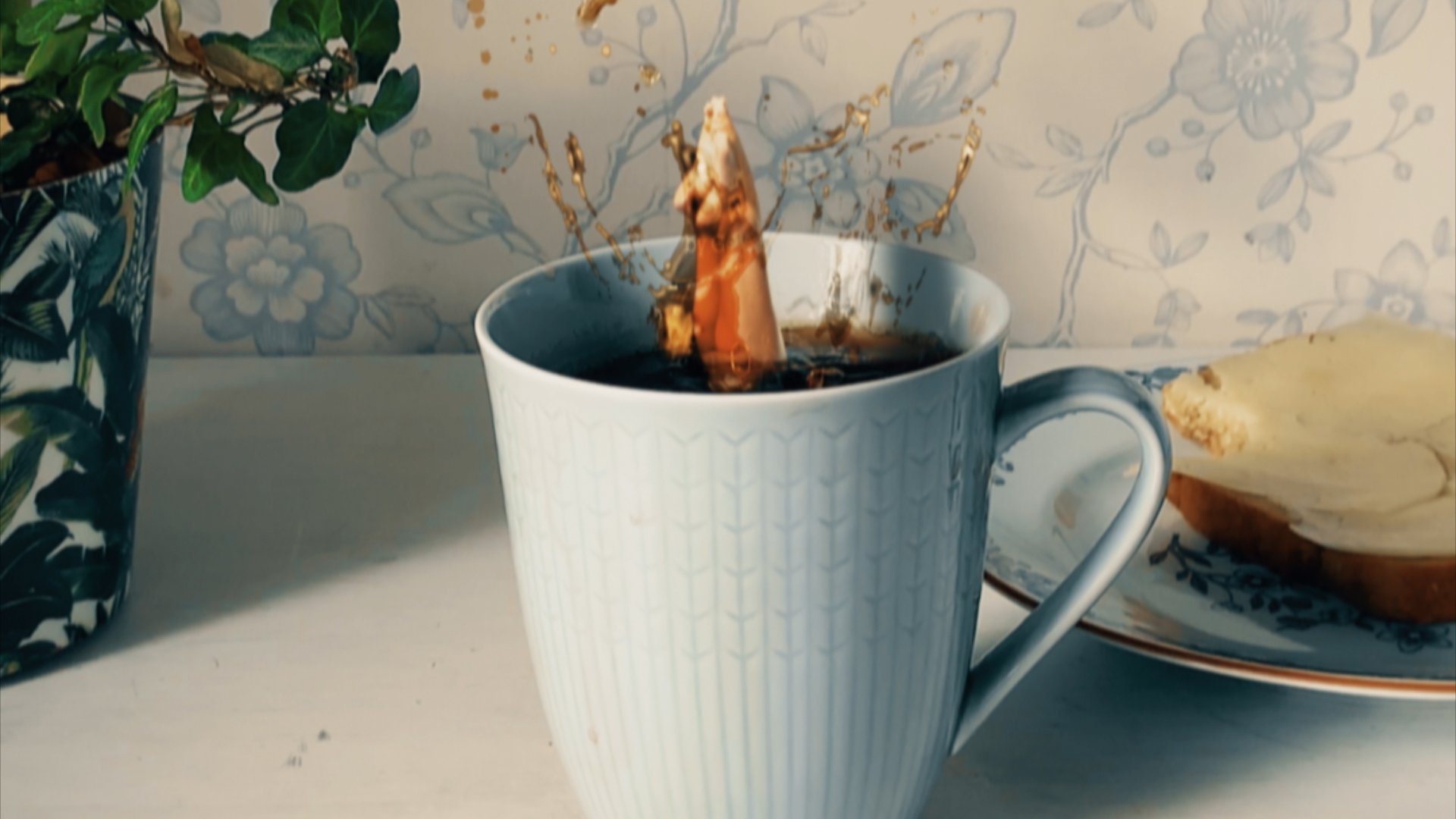 Diving & coffee